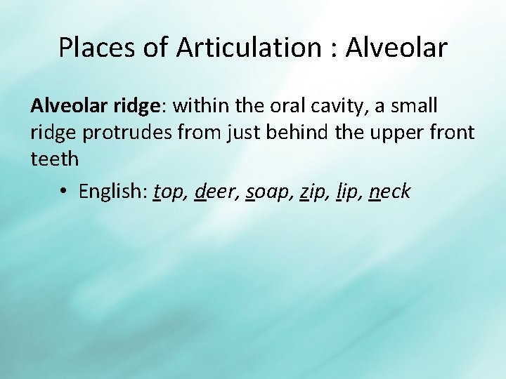 Places of Articulation : Alveolar ridge: within the oral cavity, a small ridge protrudes