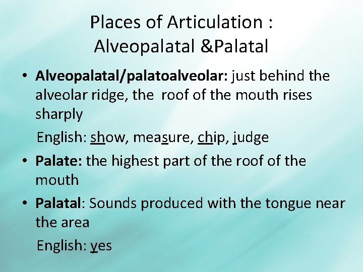 Places of Articulation : Alveopalatal &Palatal • Alveopalatal/palatoalveolar: just behind the alveolar ridge, the