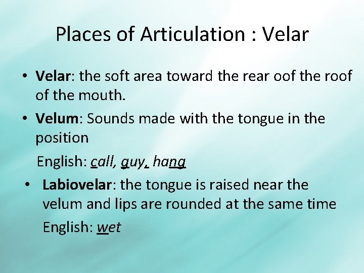 Places of Articulation : Velar • Velar: the soft area toward the rear oof