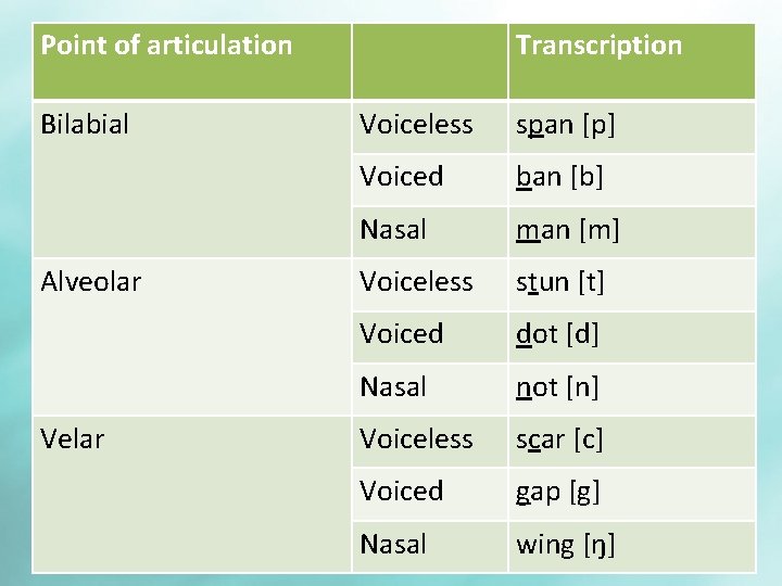 Point of articulation Bilabial Alveolar Velar Transcription Voiceless span [p] Voiced ban [b] Nasal