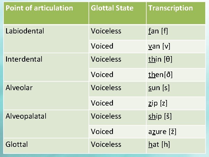 Point of articulation Glottal State Transcription Labiodental Voiceless fan [f] Voiced van [v] Voiceless