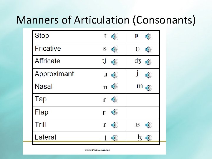 Manners of Articulation (Consonants) 