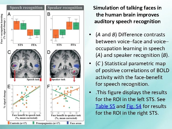 Simulation of talking faces in the human brain improves auditory speech recognition • (A
