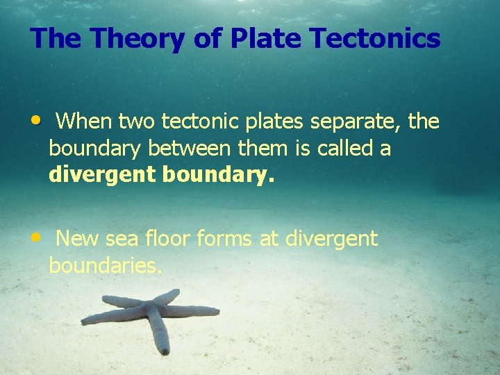 The Theory of Plate Tectonics • When two tectonic plates separate, the boundary between