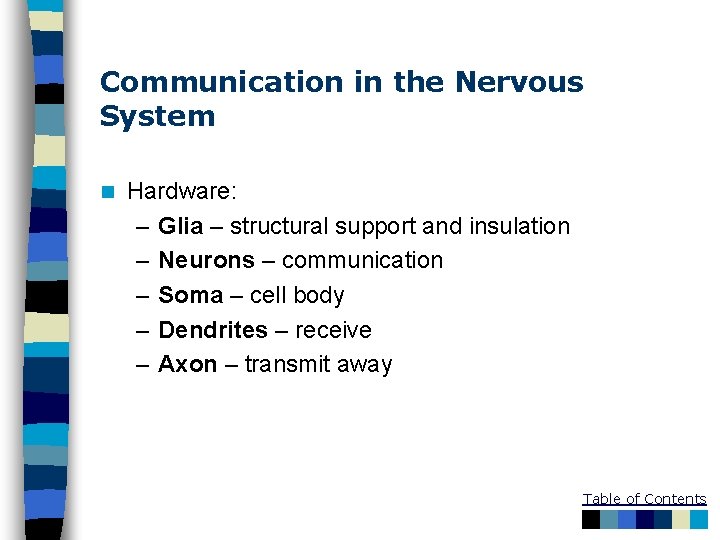 Communication in the Nervous System n Hardware: – Glia – structural support and insulation