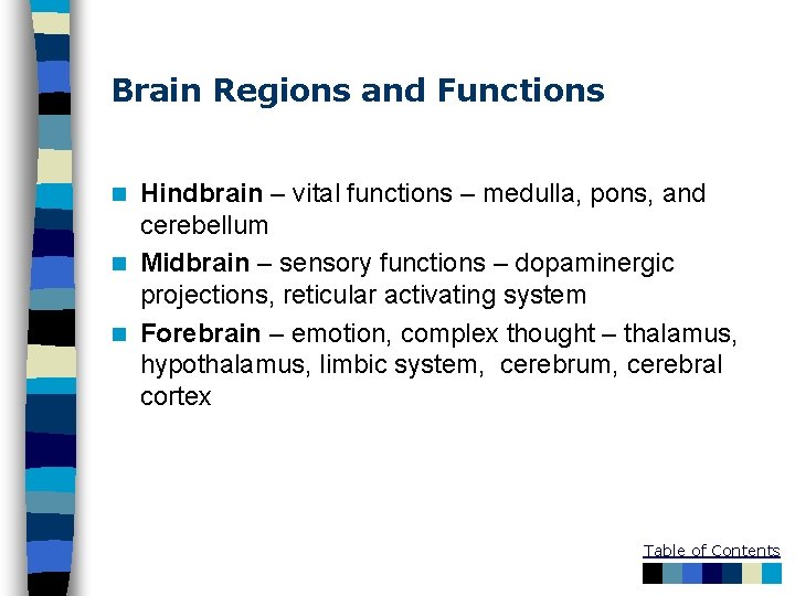 Brain Regions and Functions Hindbrain – vital functions – medulla, pons, and cerebellum n