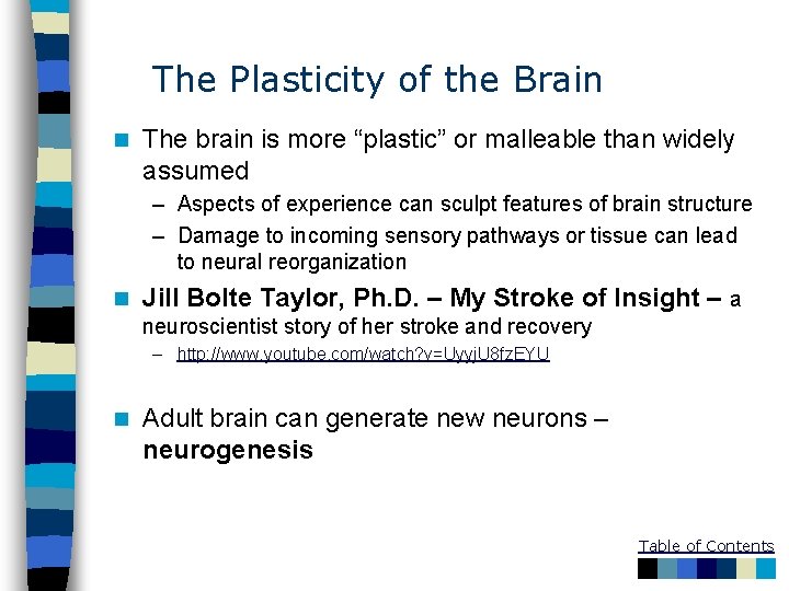 The Plasticity of the Brain n The brain is more “plastic” or malleable than