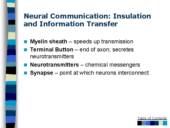 Neural Communication: Insulation and Information Transfer Myelin sheath – speeds up transmission n Terminal