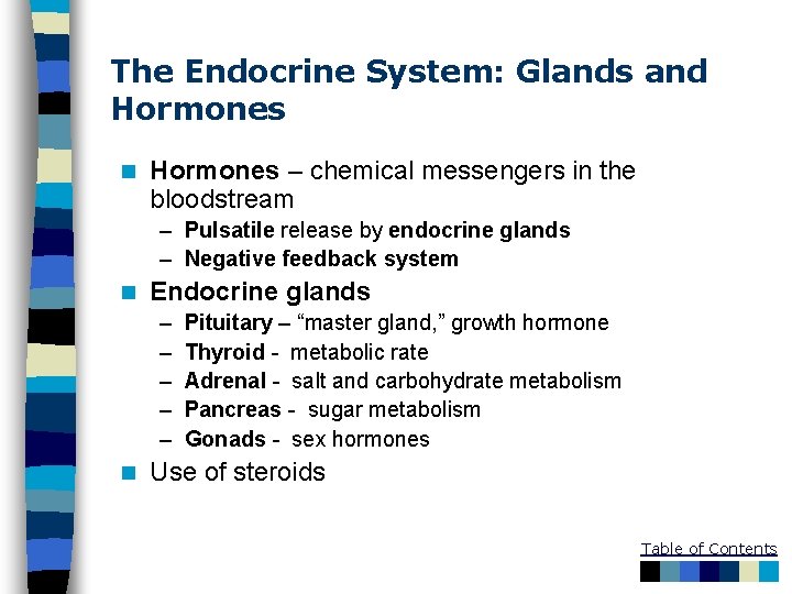 The Endocrine System: Glands and Hormones n Hormones – chemical messengers in the bloodstream