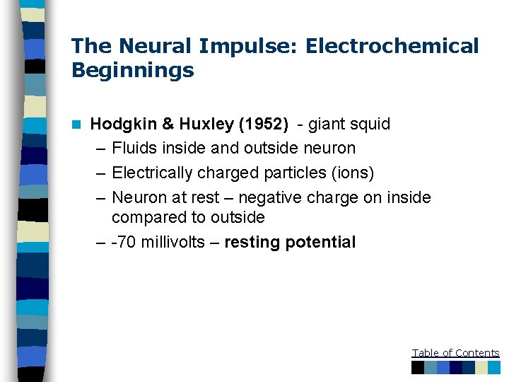 The Neural Impulse: Electrochemical Beginnings n Hodgkin & Huxley (1952) - giant squid –