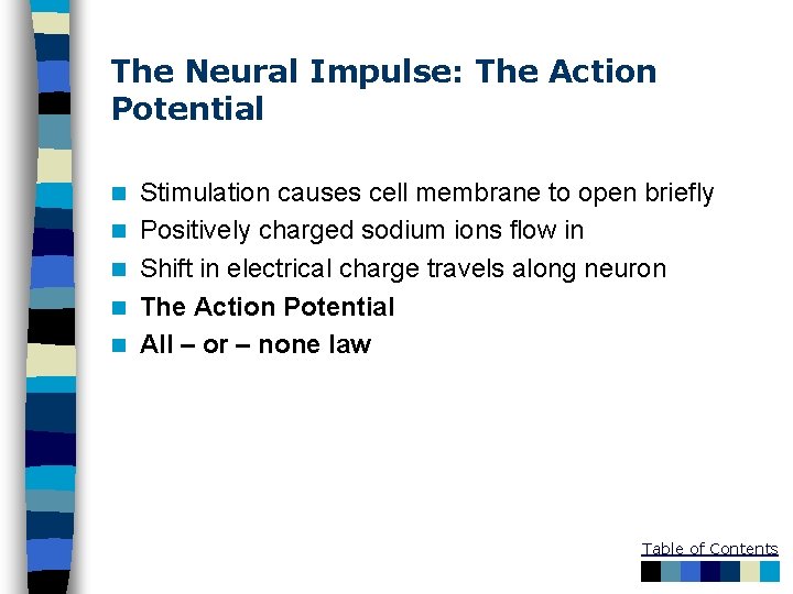 The Neural Impulse: The Action Potential n n n Stimulation causes cell membrane to