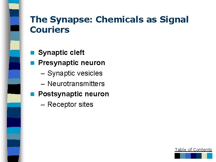 The Synapse: Chemicals as Signal Couriers Synaptic cleft n Presynaptic neuron – Synaptic vesicles