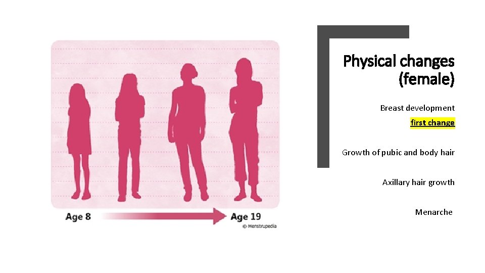 Physical changes (female) Breast development first change Growth of pubic and body hair Axillary