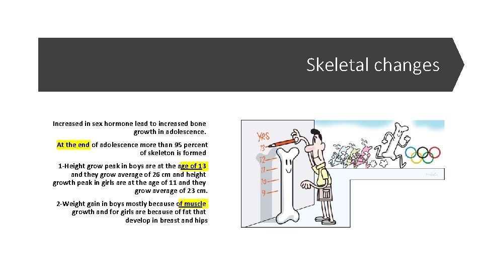 Skeletal changes Increased in sex hormone lead to increased bone growth in adolescence. At