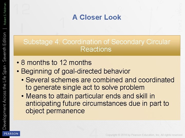 A Closer Look Substage 4: Coordination of Secondary Circular Reactions • 8 months to