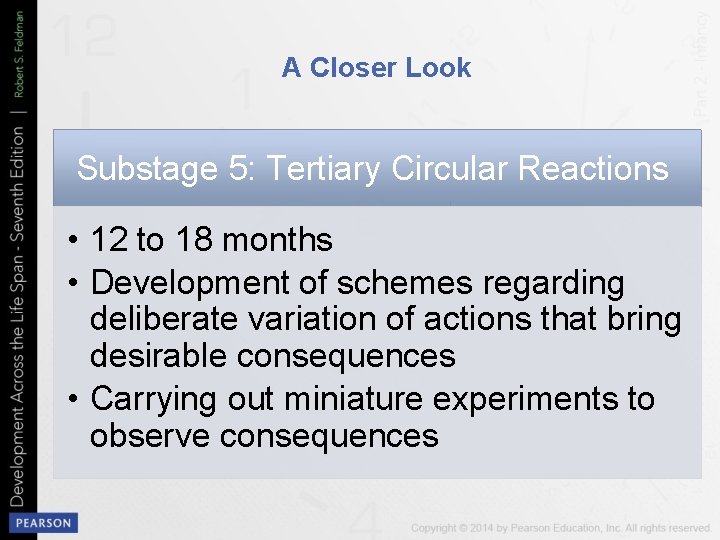 A Closer Look Substage 5: Tertiary Circular Reactions • 12 to 18 months •