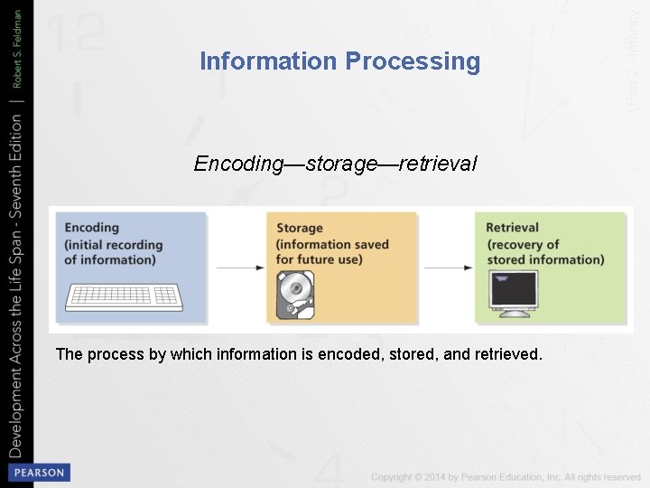 Information Processing Encoding—storage—retrieval The process by which information is encoded, stored, and retrieved. 