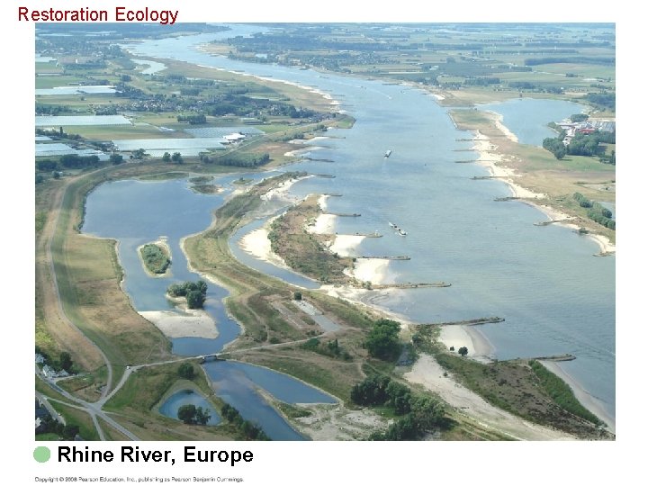 Restoration Ecology Rhine River, Europe 