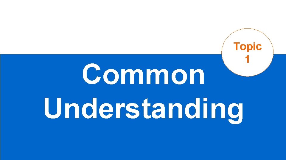 Topic 1 Common Understanding 