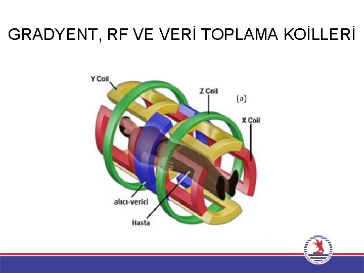 GRADYENT, RF VE VERİ TOPLAMA KOİLLERİ 