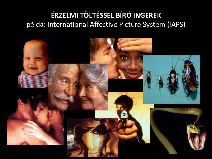 ÉRZELMI TÖLTÉSSEL BÍRÓ INGEREK példa: International Affective Picture System (IAPS) 