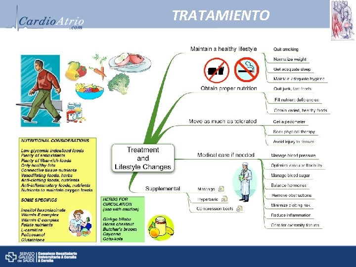 TRATAMIENTO 