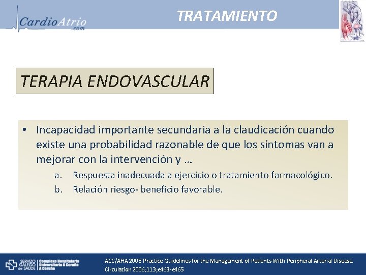 TRATAMIENTO TERAPIA ENDOVASCULAR • Incapacidad importante secundaria a la claudicación cuando existe una probabilidad