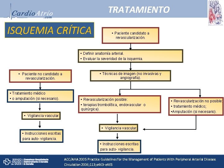 TRATAMIENTO ISQUEMIA CRÍTICA • Paciente candidato a revascularización. • Definir anatomía arterial. • Evaluar