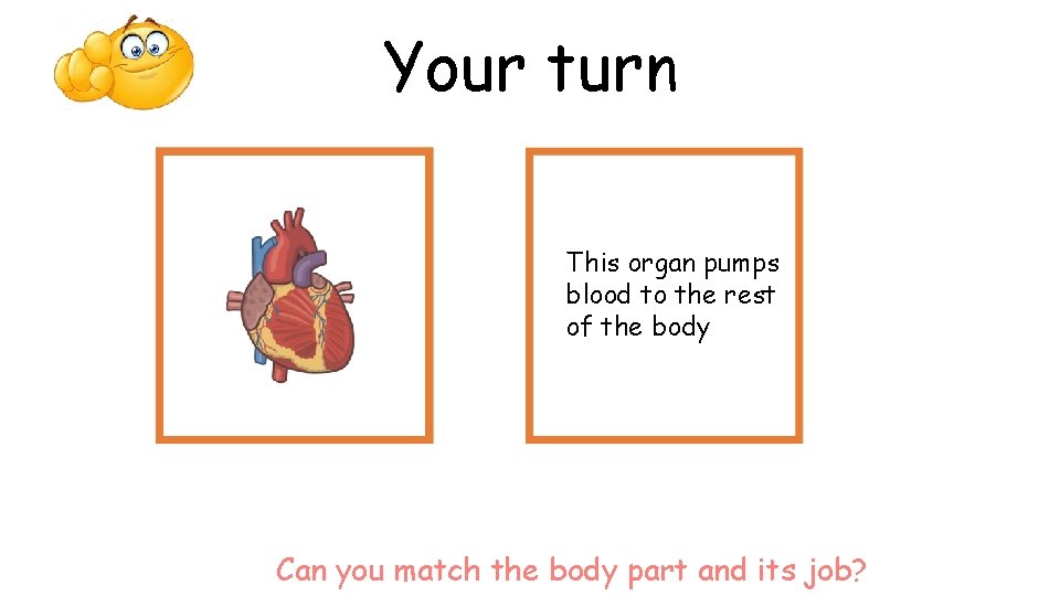 Your turn This organ pumps blood to the rest of the body Can you Your turn This organ pumps blood to the rest of the body Can you