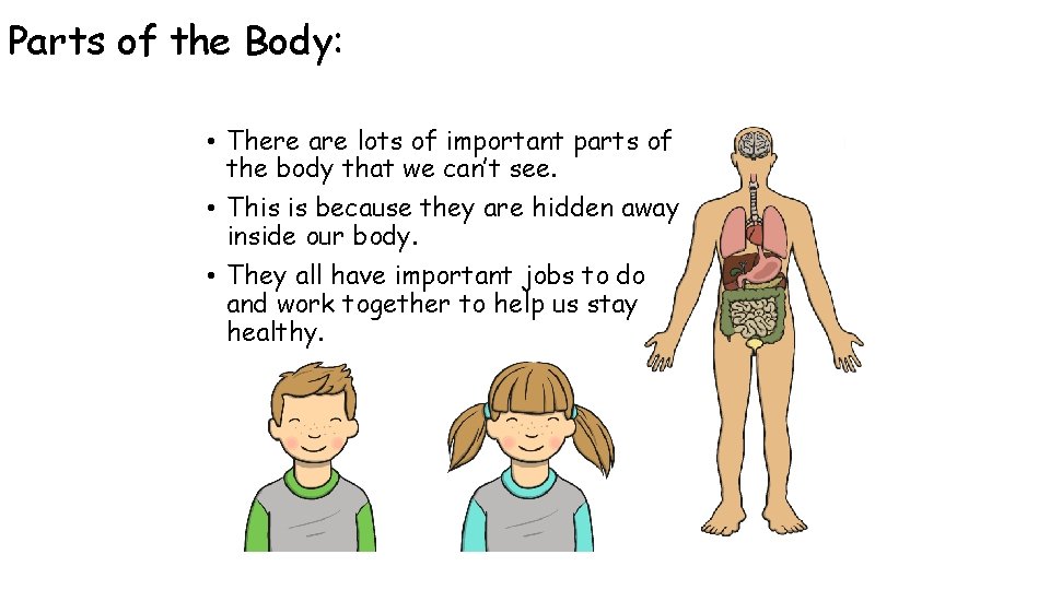 Parts of the Body: • There are lots of important parts of the body Parts of the Body: • There are lots of important parts of the body
