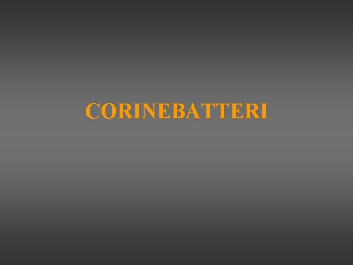 CORINEBATTERI 