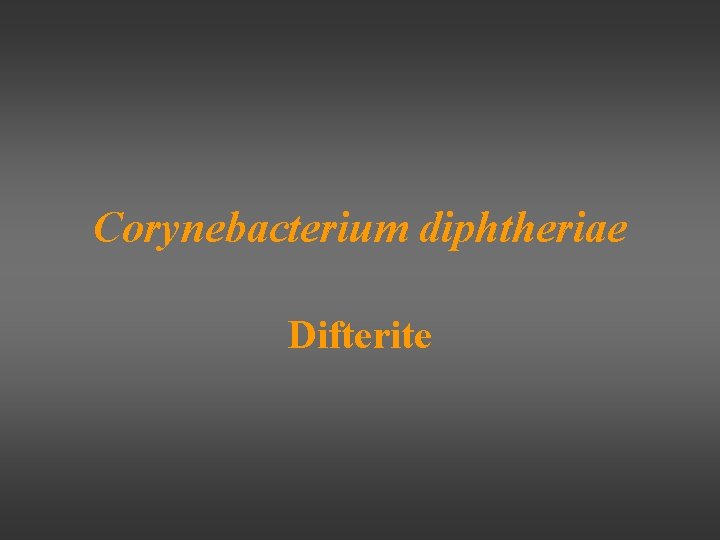 Corynebacterium diphtheriae Difterite 