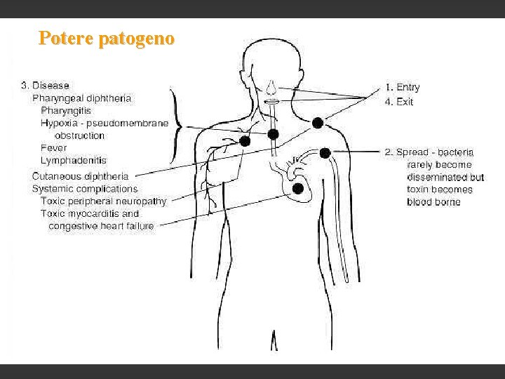 Potere patogeno 