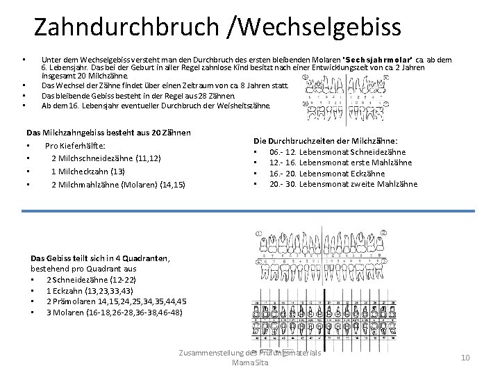 Zahndurchbruch /Wechselgebiss • • Unter dem Wechselgebiss versteht man den Durchbruch des ersten bleibenden