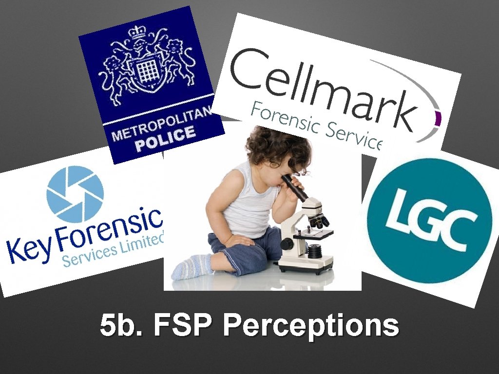 5 b. FSP Perceptions 