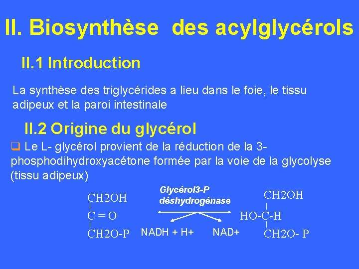 II. Biosynthèse des acylglycérols II. 1 Introduction La synthèse des triglycérides a lieu dans