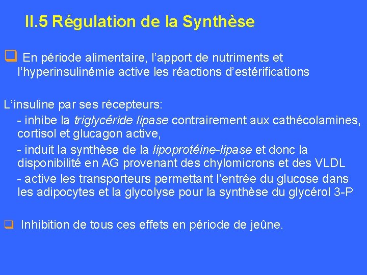 II. 5 Régulation de la Synthèse q En période alimentaire, l’apport de nutriments et