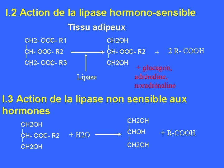 I. 2 Action de la lipase hormono-sensible Tissu adipeux CH 2 - OOC- R