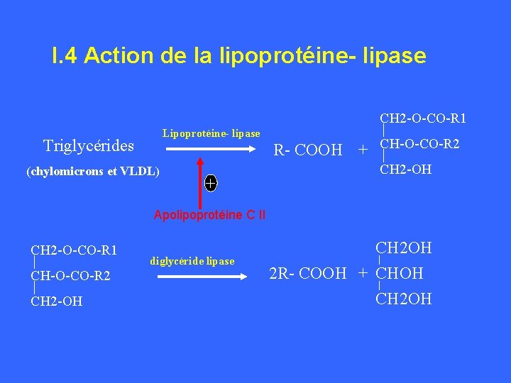 I. 4 Action de la lipoprotéine- lipase CH 2 -O-CO-R 1 Lipoprotéine- lipase Triglycérides