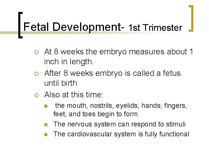 Fetal Development- 1 st Trimester At 8 weeks the embryo measures about 1 inch