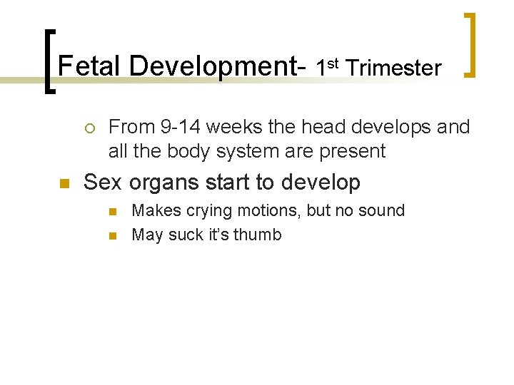 Fetal Development- 1 st Trimester From 9 -14 weeks the head develops and all