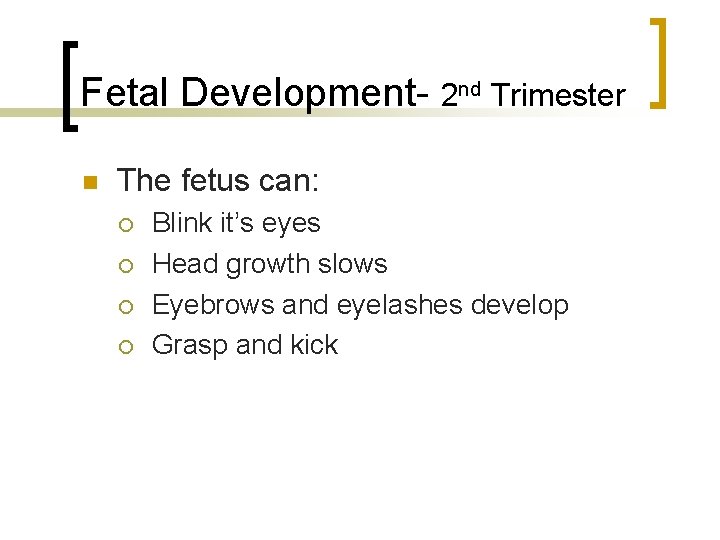 Fetal Development- 2 nd Trimester The fetus can: Blink it’s eyes Head growth slows