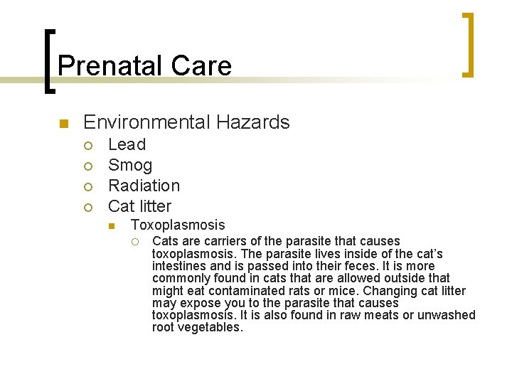 Prenatal Care Environmental Hazards Lead Smog Radiation Cat litter Toxoplasmosis Cats are carriers of