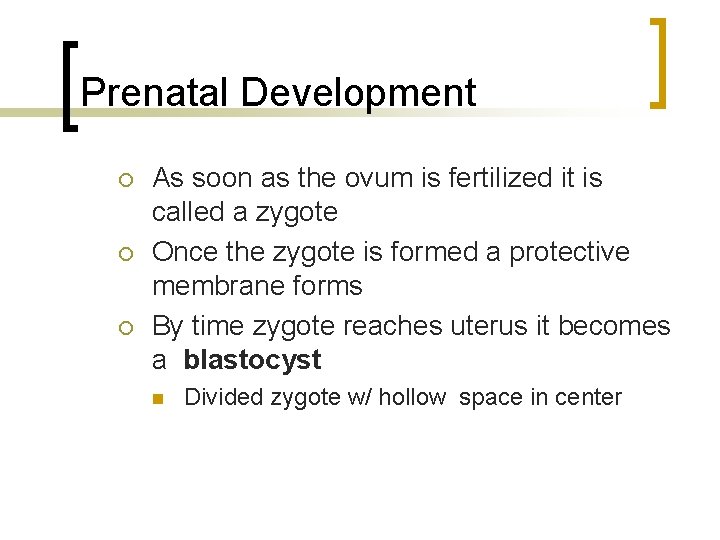 Prenatal Development As soon as the ovum is fertilized it is called a zygote