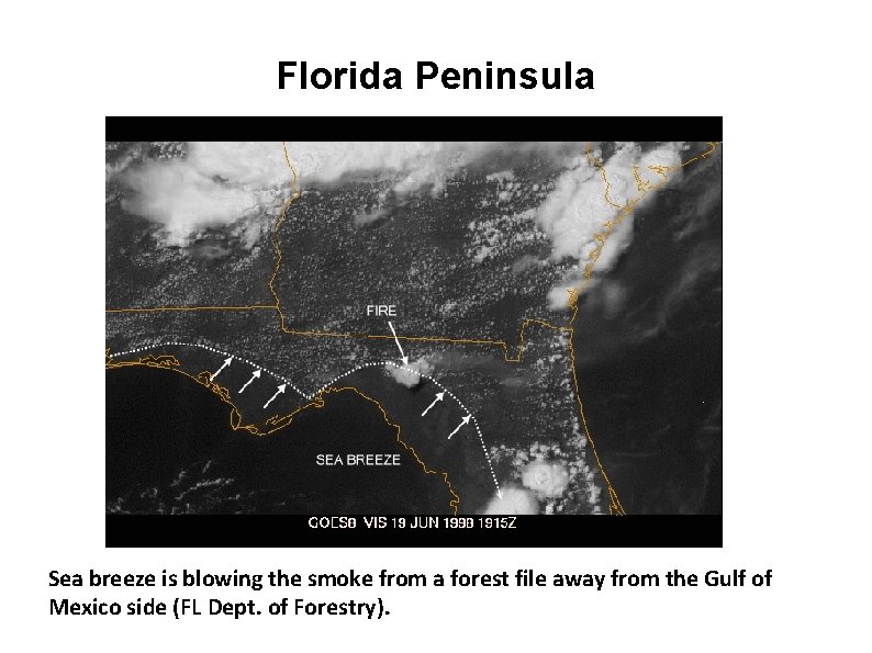 Florida Peninsula Sea breeze is blowing the smoke from a forest file away from