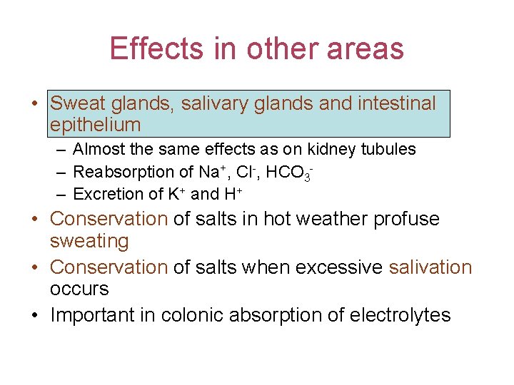 Effects in other areas • Sweat glands, salivary glands and intestinal epithelium – Almost