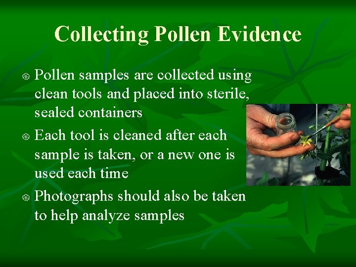 Collecting Pollen Evidence Pollen samples are collected using clean tools and placed into sterile,