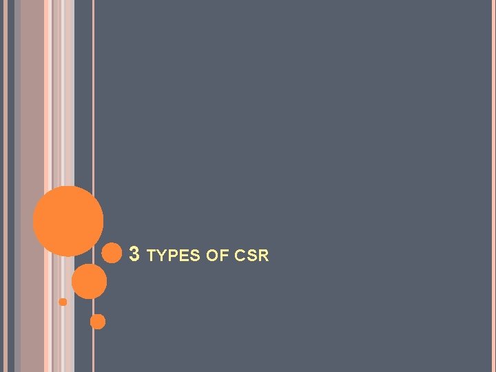 3 TYPES OF CSR 