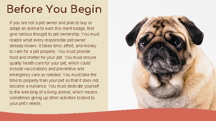 Before You Begin If you are not a pet owner and plan to buy