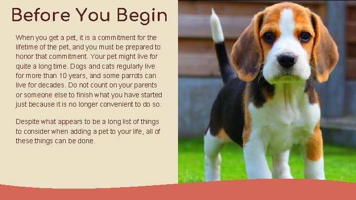 Before You Begin When you get a pet, it is a commitment for the